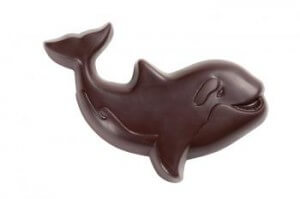 Allergen-friendly Chocolate Shamu at SeaWorld
