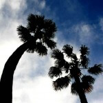 Undercover Tourist Launches in Southern California!