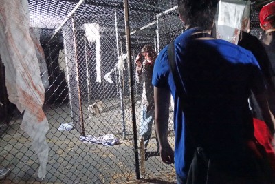 'Walking Dead' Returns for Halloween Horror Nights 25