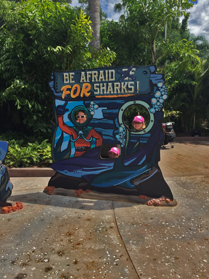 5 Things We're Most Looking Forward to with SeaWorld's Mako