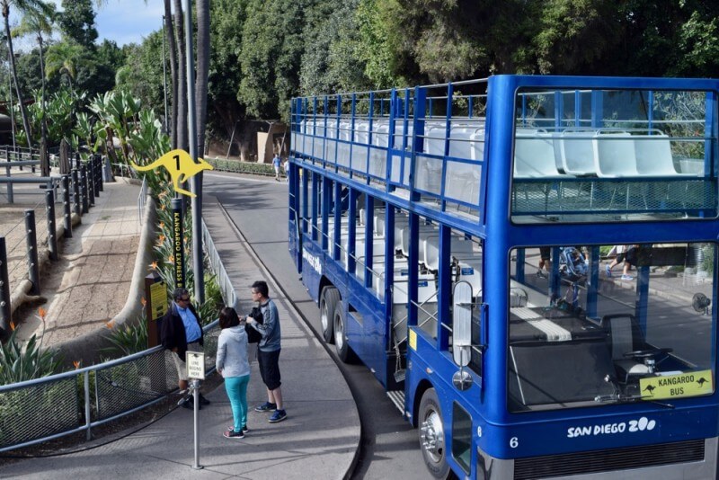 San Diego Zoo Tips for a Roaring Good Time