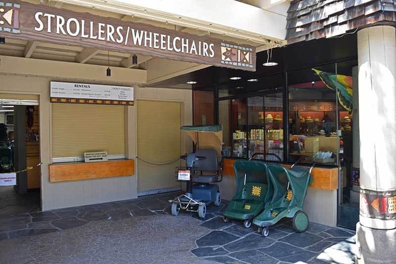 San Diego Zoo Safari Park Tips