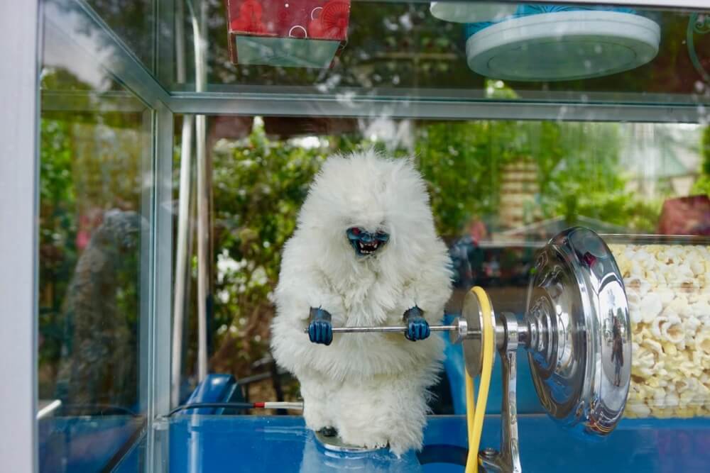 Maximize Your Time at Disneyland - Disneyland Yeti Popcorn