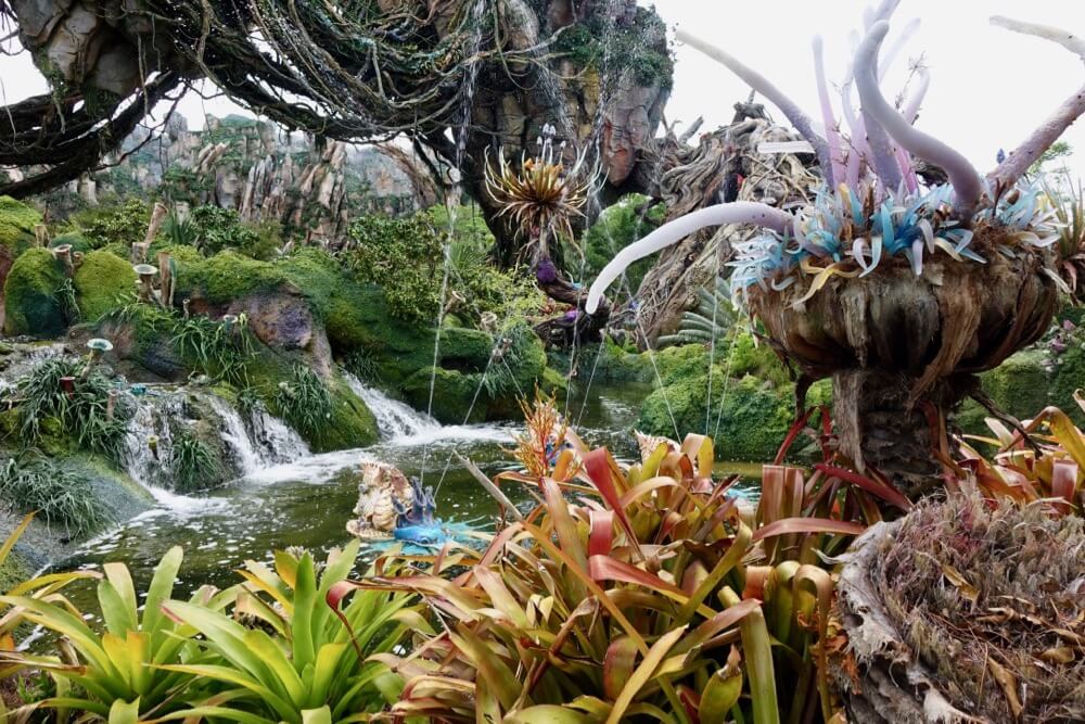 Pics: Pandora - World of Avatar at Disney's Animal Kingdom