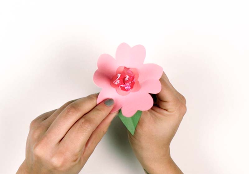 give your valentine a diy moana lollipop flower