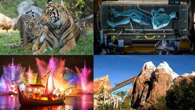 Disney's Animal Kingdom Celebrates Roaring 20th Anniversary