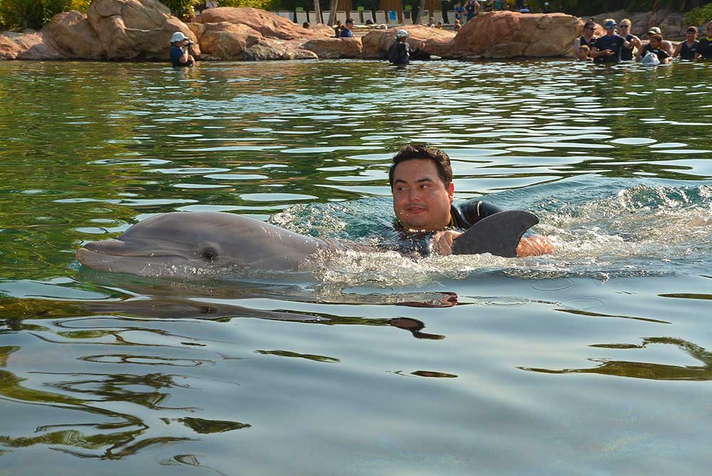 discovery cove dolphin swim