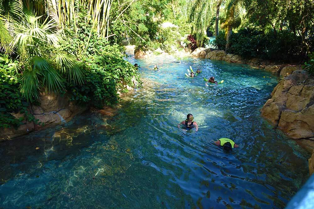 Discovery Cove Orlando Fl