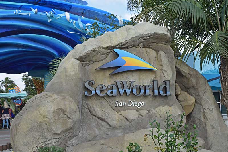 Best SeaWorld San Diego Shows and Attractions