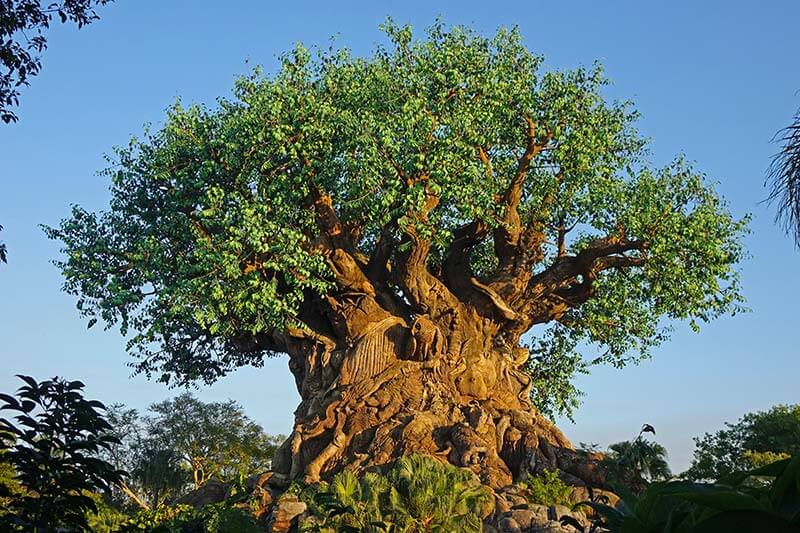 Best Theme Parks in Orlando - Tree of Life