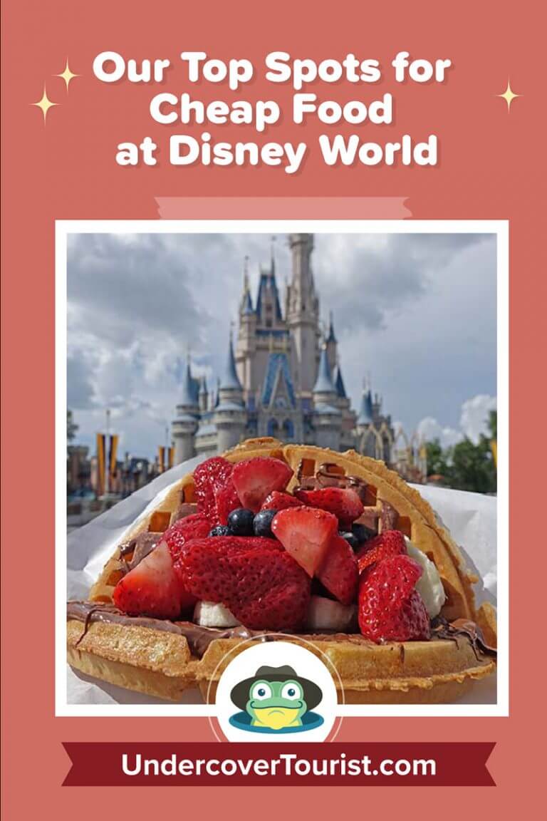 Our Top Spots for Cheap Food at Disney World