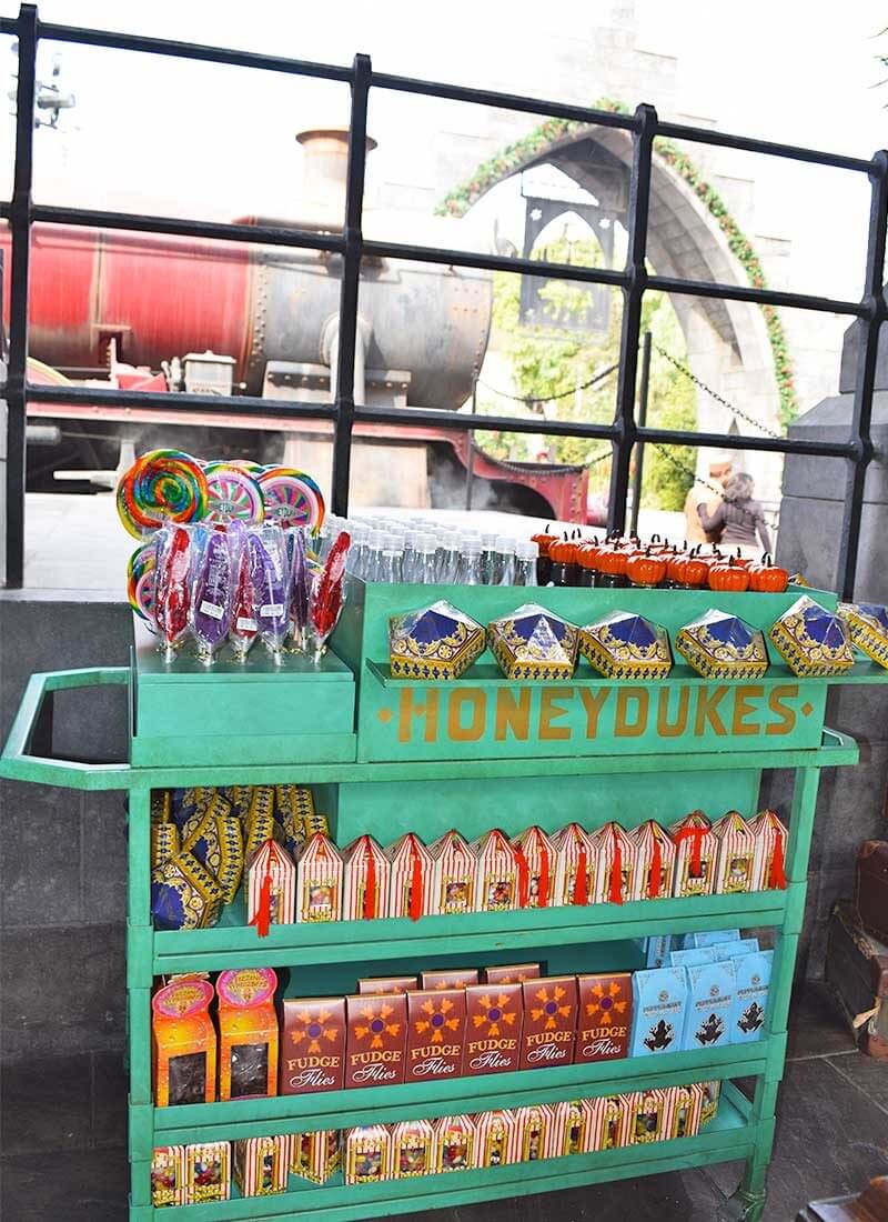 The Superfan's Guide to the Wizarding World of Harry Potter