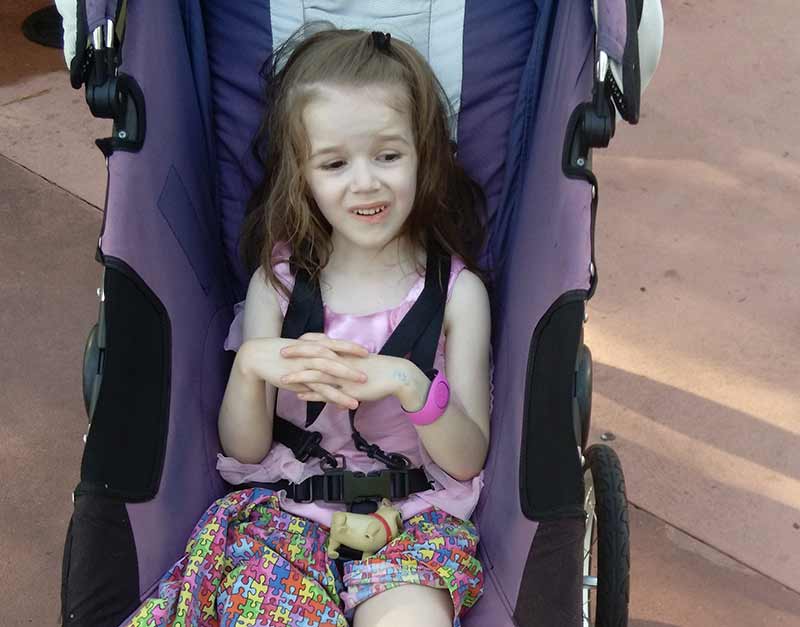 Special needs stroller rental best sale disney world