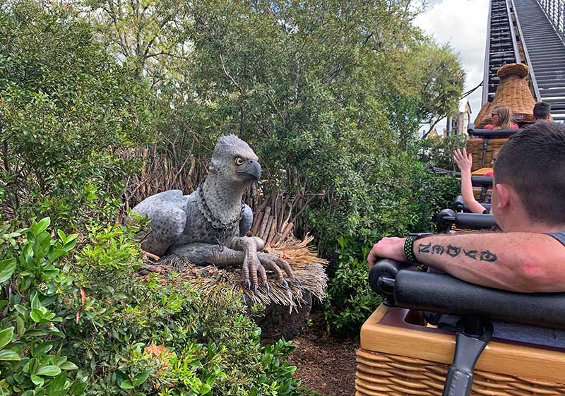 What Not-to-Miss at Universal Islands of Adventure