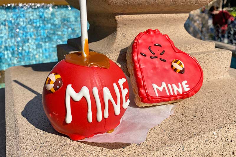 A Guide to Finding the best Disneyland Caramel Apple in Each Season