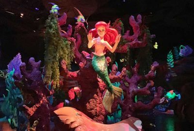 The Frog Family's Favorite Disney World Ride Videos