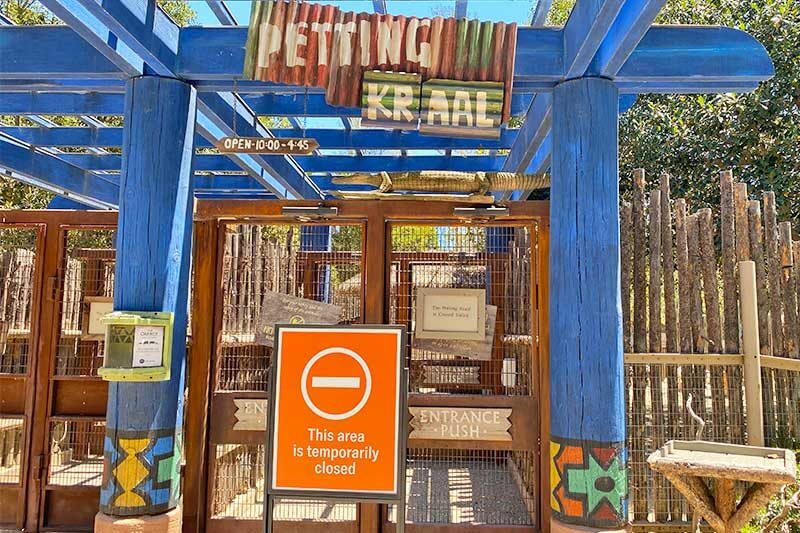 The San Diego Zoo and Safari Park Have Reopened — Here's What to Know