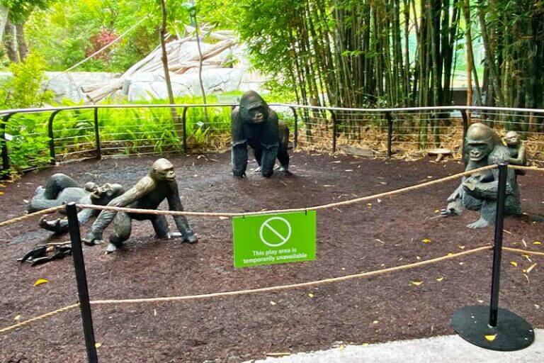 The San Diego Zoo and Safari Park Have Reopened — Here's What to Know