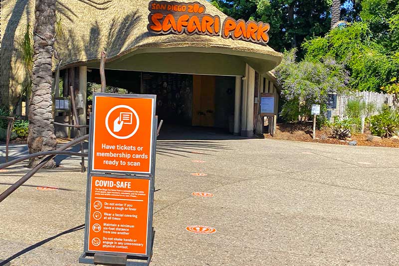 The San Diego Zoo and Safari Park Have Roared Back to Life — Here's What to Know Before You Go!