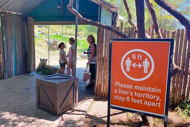 The San Diego Zoo and Safari Park Have Reopened — Here's What to Know