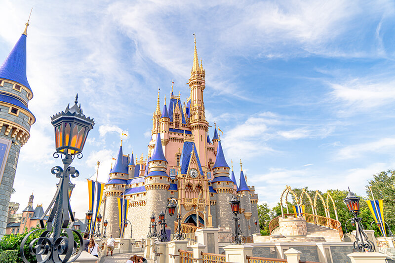 FALSE: Disney World and Disneyland Theme Park Reservations No Longer  Required Starting in January 2023!