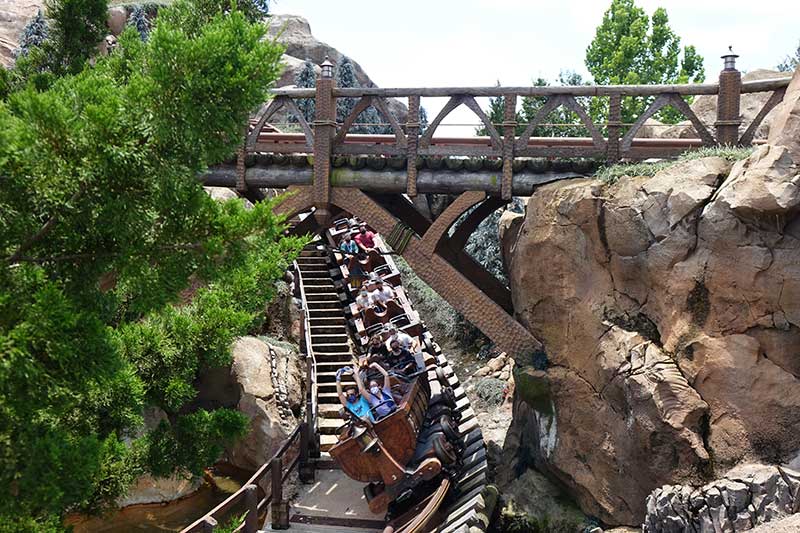 The Best Rides and Attractions for Adults At Disney World 