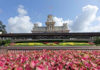 Your Froggy Guide to Rope Dropping at Magic Kingdom