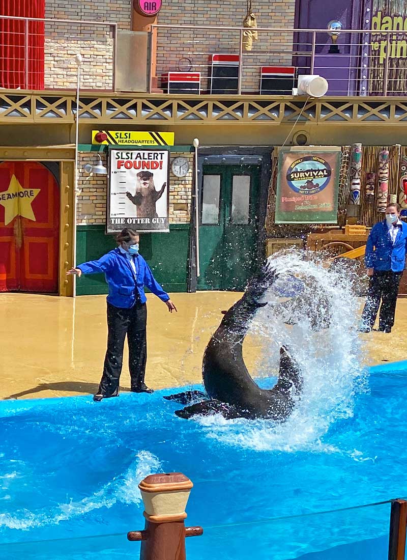 Our ∼Fin-tastic∼ Guide to SeaWorld San Diego Events 2021