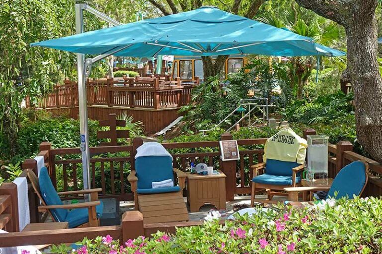 The Amazingly Cool Guide to Disney's Blizzard Beach Water Park