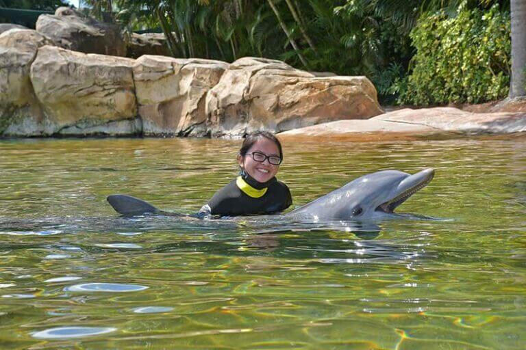 Why Discovery Cove Is One of Orlando's Top Attractions