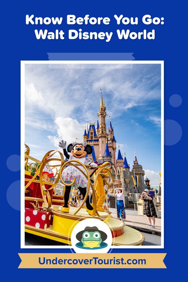 What S Happening At Disney World Right Now Current Procedures Info