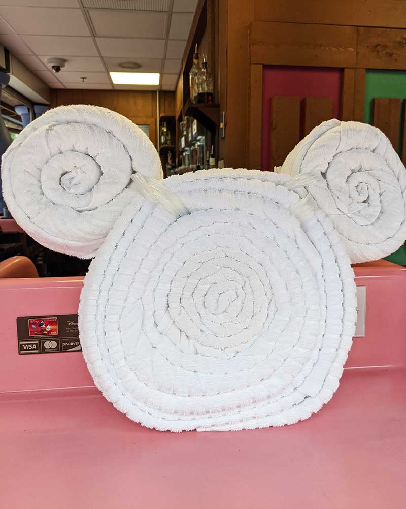 The Amazingly Cool Guide to Disney's Blizzard Beach Water Park