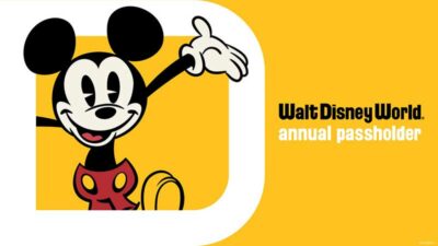 All About Disney World Annual Passes