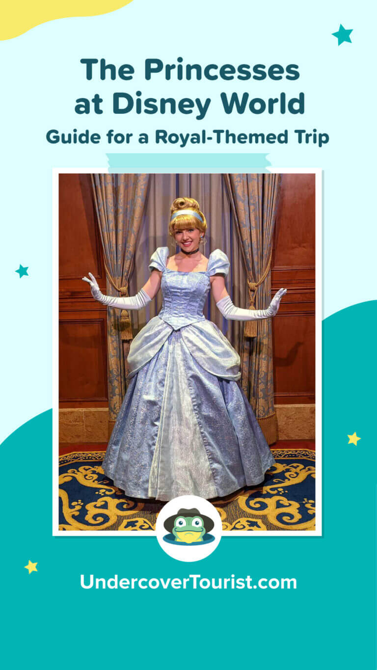 Your Royally Good Guide to Finding Princesses at Disney World
