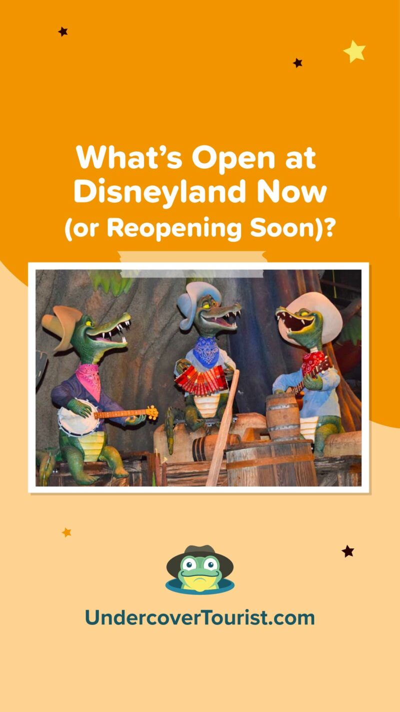 What Is Closed or Open at Disneyland Right Now?