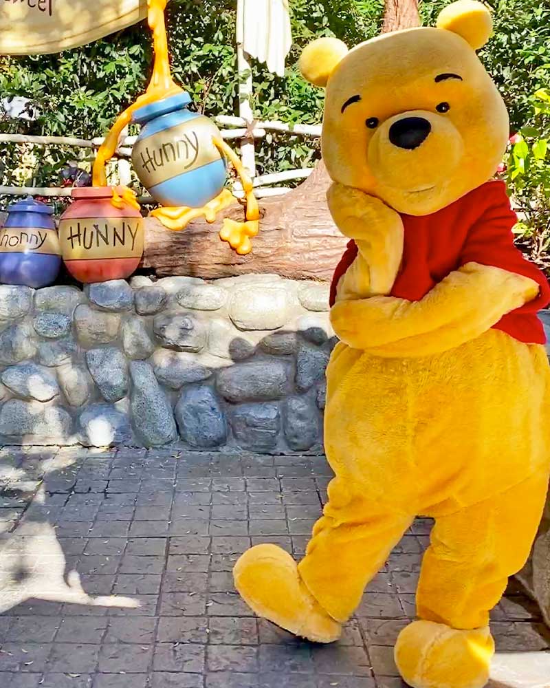 Maximize Your Time at Disneyland - Pooh is in Critter Country