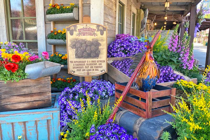 Your Guide to the Boysenberry Festival at Knott's Berry Farm