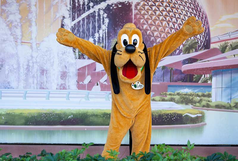 I'm a 'Disney adult' who spent $800 on park tickets to celebrate the return  of character hugging. Here's why it was worth it.