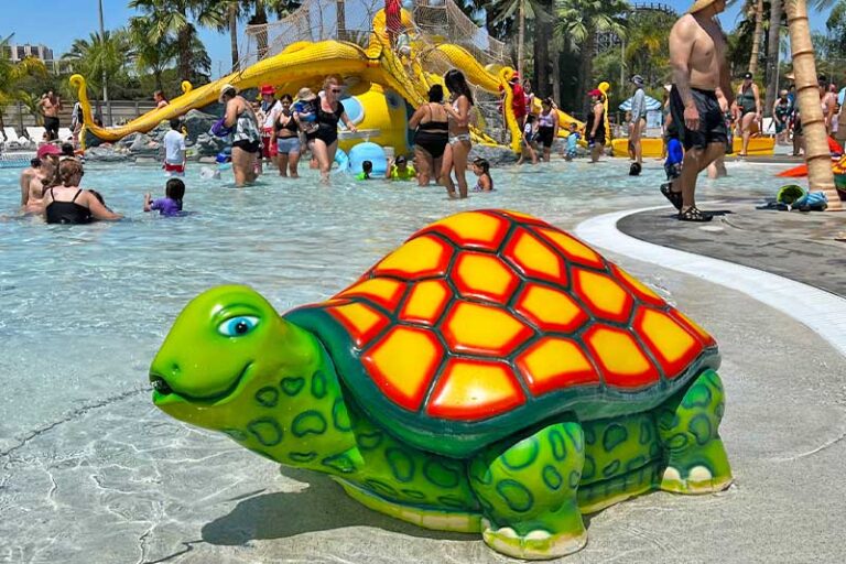 Frog Family’s StayCool Guide to Knott’s Soak City Water Park