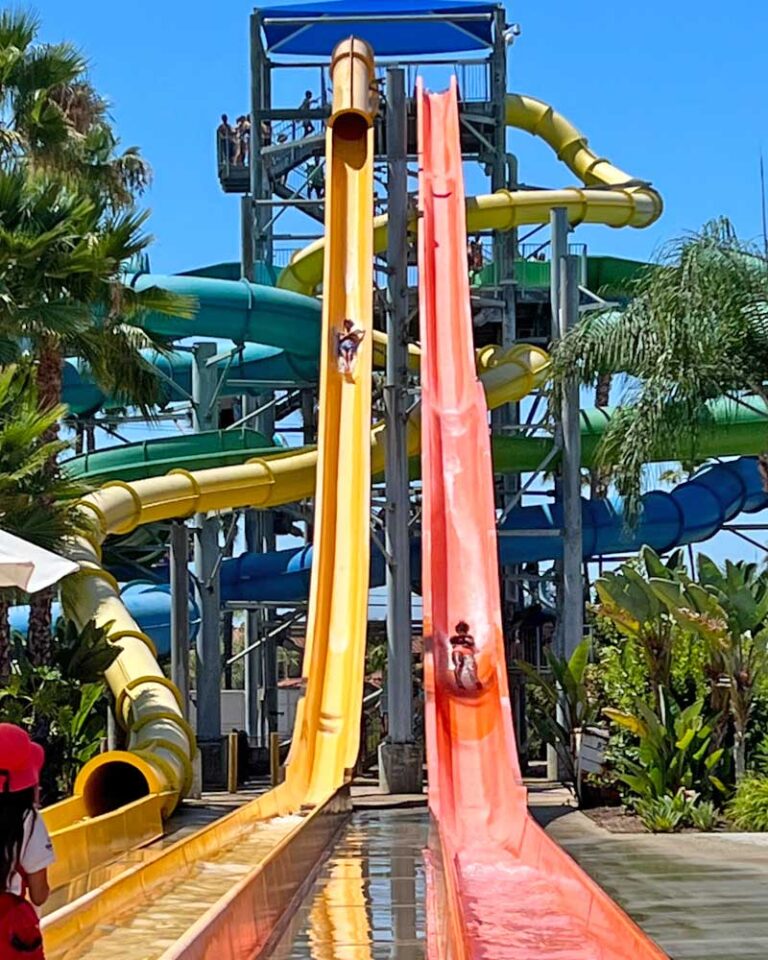 Frog Family’s StayCool Guide to Knott’s Soak City Water Park