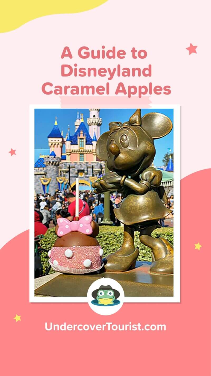 A Guide to Finding the best Disneyland Caramel Apple in Each Season