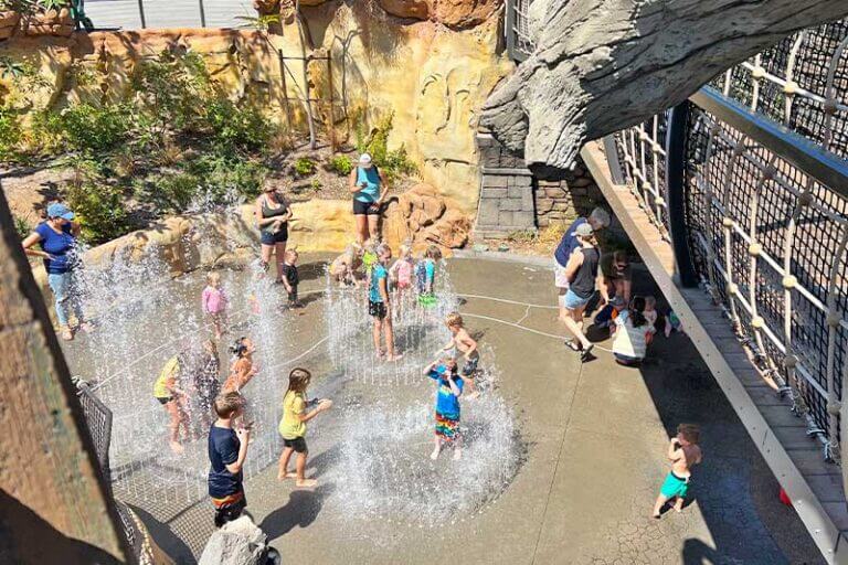 San Diego Zoo Tips for a Roaring Good Time