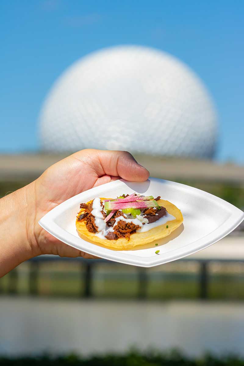 Celebrate Hispanic & Latin American Heritage Month at Walt Disney World