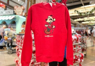 Our Disney World Holiday Merchandise Wishlist, Plus Our Top Tips!