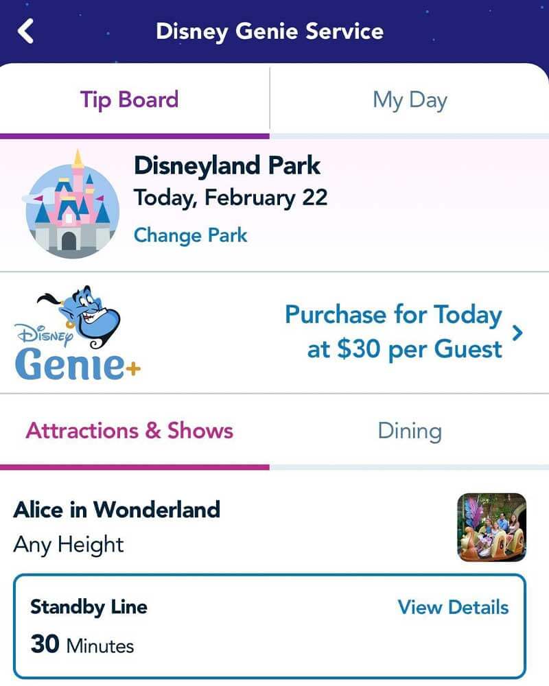 How Disney Genie can cut your wait times for free! 