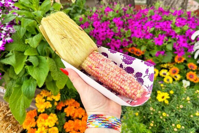 Your Guide to the Boysenberry Festival at Knott's Berry Farm