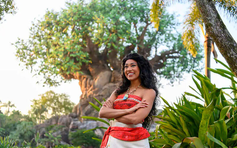 BREAKING: Live-Action 'Moana' Adaptation in the Works - WDW News Today