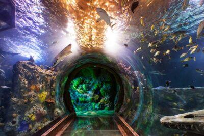 Top 10 Indoor Attractions to Help You Stay Cool This Summer
