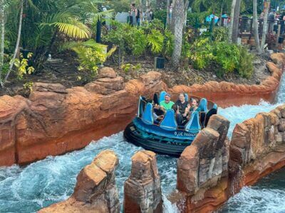 Our Favorite Ways to Stay Cool at SeaWorld Orlando