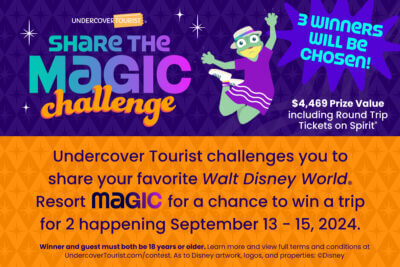 Share the Magic Contest Terms and Conditions